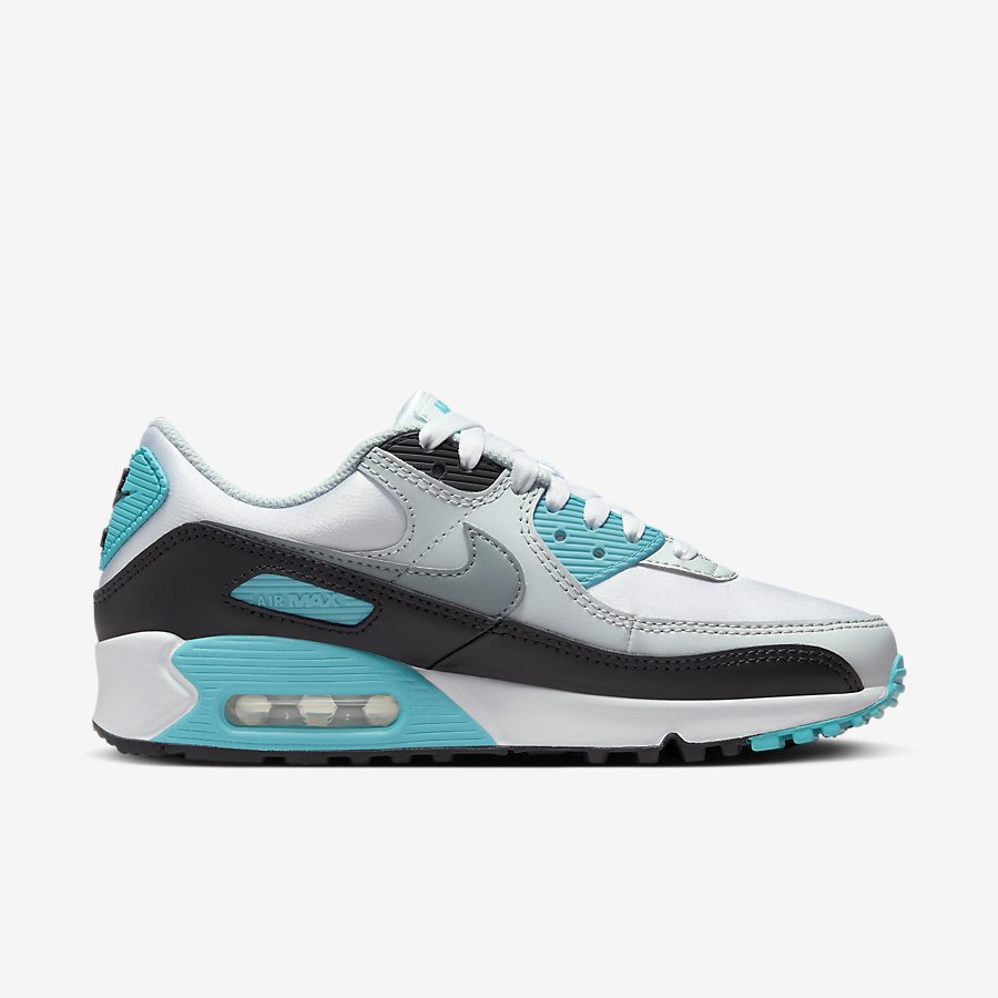 Giày Nike Air Max 90 Nữ Đen Xanh