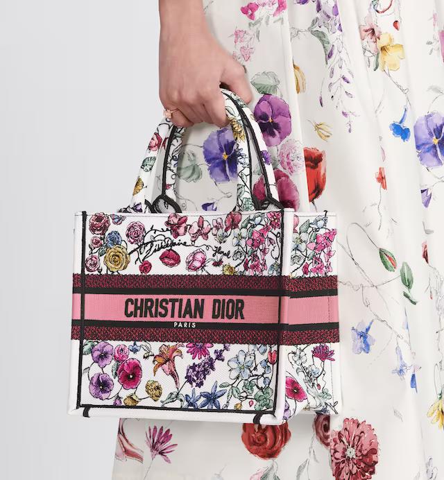 Túi Dior Small Book Tote