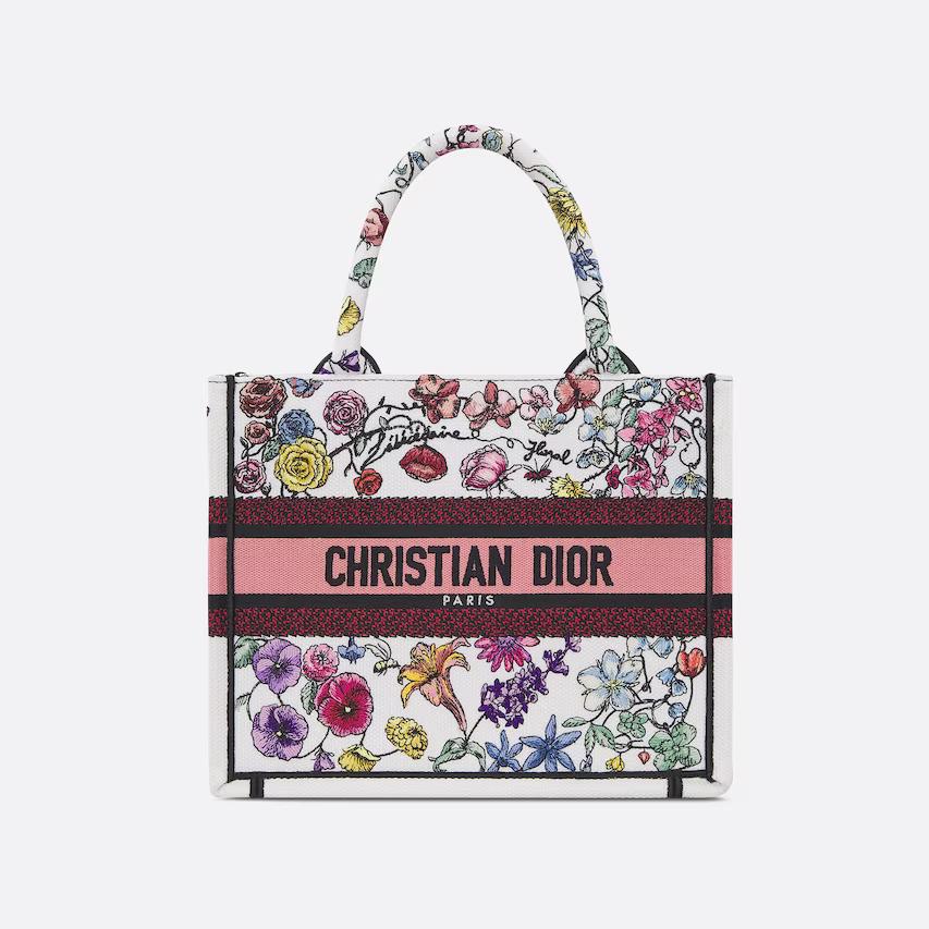 Túi Dior Small Book Tote