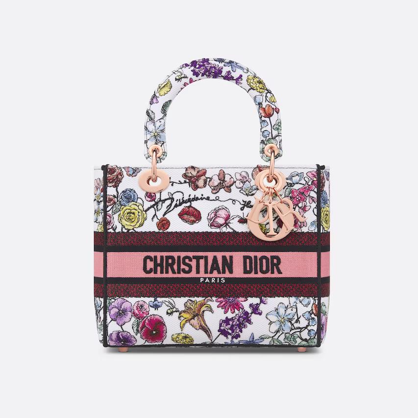 Túi Dior Medium Lady D-Lite Bag 