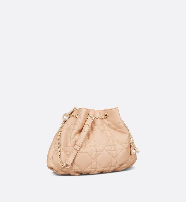 Túi Dior Medium Ammi Bag Sand Pink