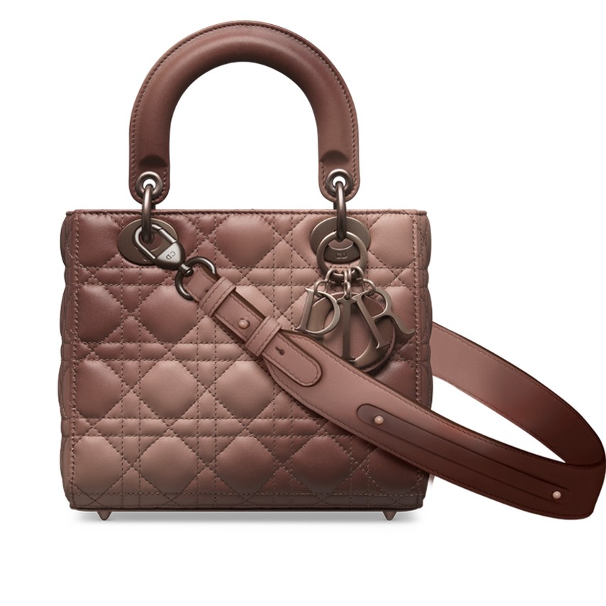 Túi Dior Small Lady My ABCDior Bag Ethereal Dark Pink Gradient