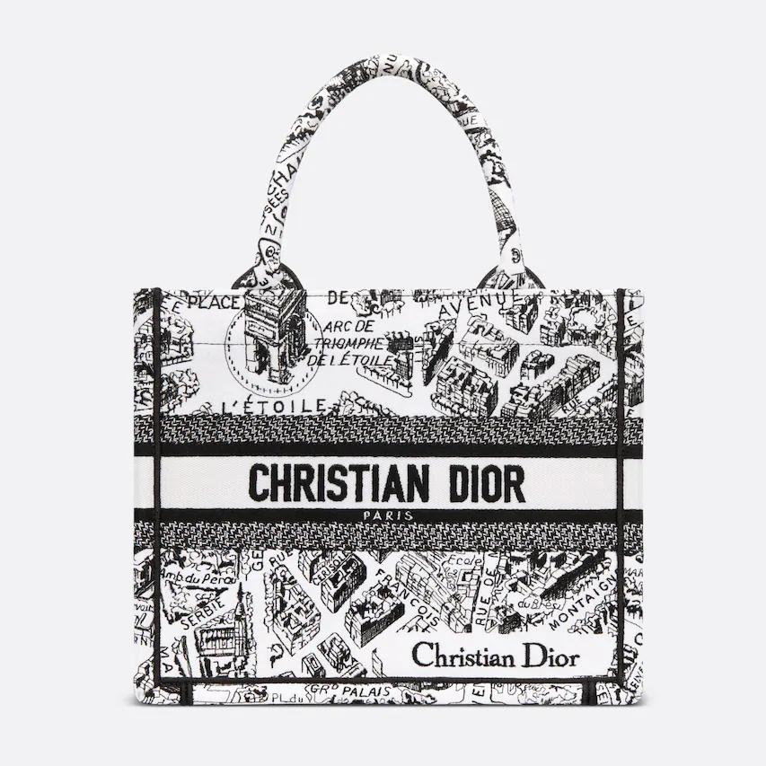 Túi Dior Small Book Tote White And Black Plan