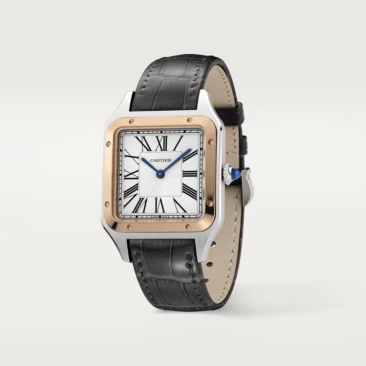 Đồng Hồ Cartier Santos-Dumont Watch Nữ Đen