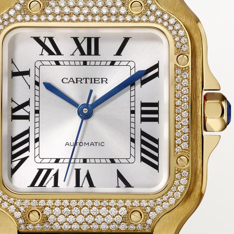 Đồng Hồ Cartier Santos De Cartier Watch Nam Vàng Xanh