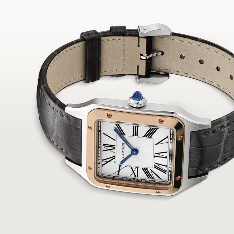 Đồng Hồ Cartier Santos-Dumont Watch Nữ Đen