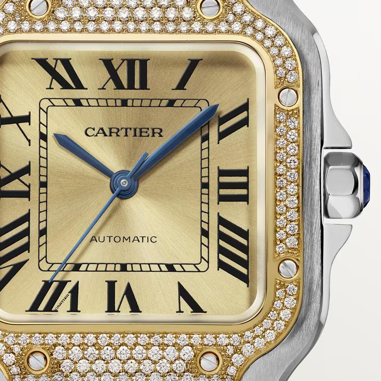 Đồng Hồ Cartier Santos De Cartier Watch Nam Vàng Bạc