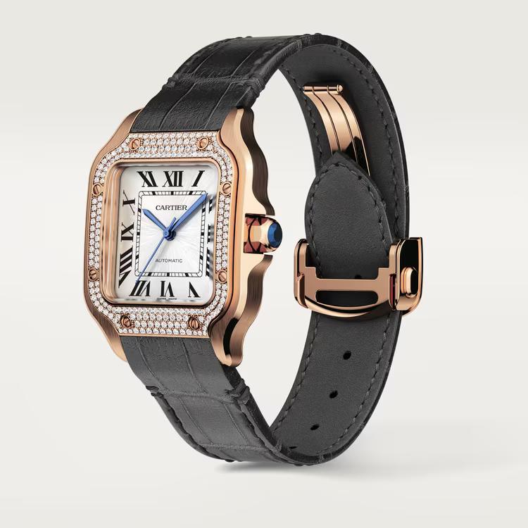 Đồng Hồ Cartier Santos De Cartier Watch Nữ Đen