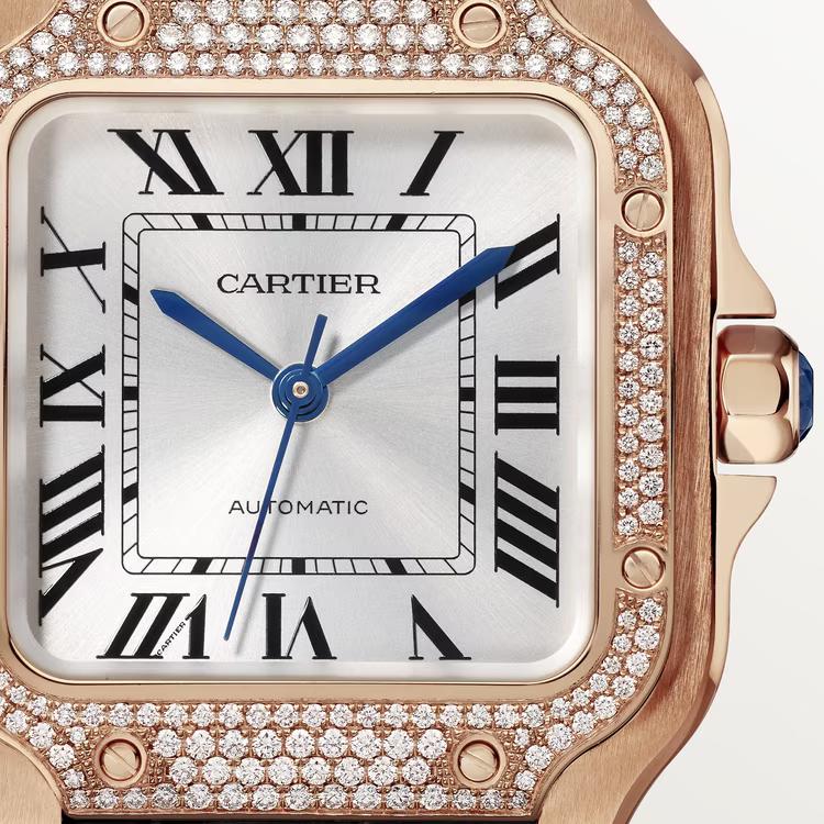 Đồng Hồ Cartier Santos De Cartier Watch Nữ Đen