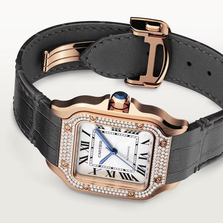 Đồng Hồ Cartier Santos De Cartier Watch Nữ Đen