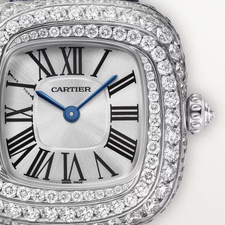 Đồng Hồ Cartier Coussin De Cartier Watch Nữ Xám