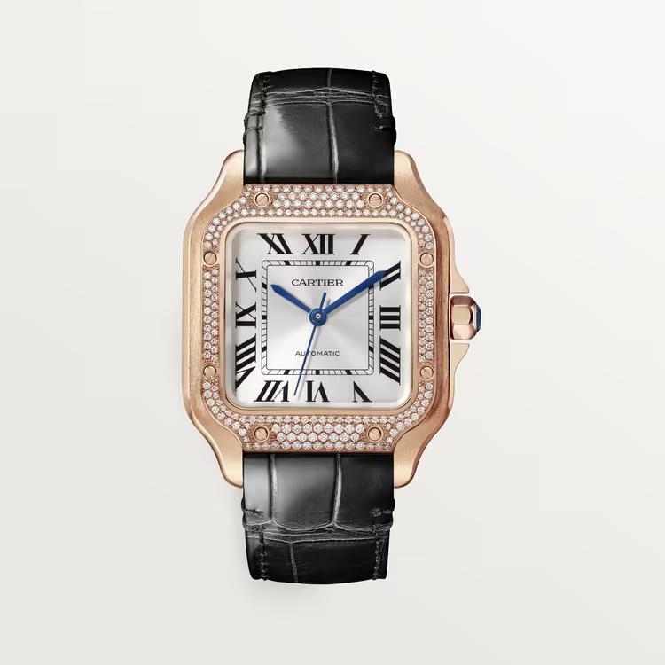 Đồng Hồ Cartier Santos De Cartier Watch Nữ Đen