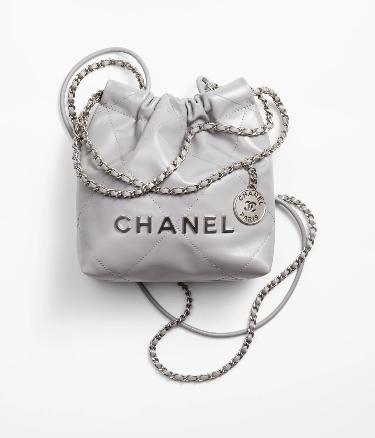 Túi Chanel CHANEL 22 Mini Handbag Calfskin & Silver-Tone Metal Nữ Xám