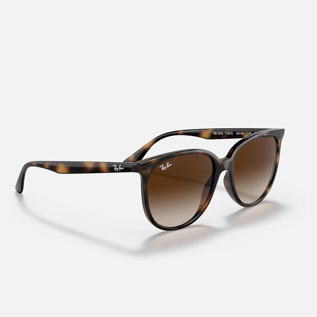 Kính Ray-Ban Rb4378 Nâu