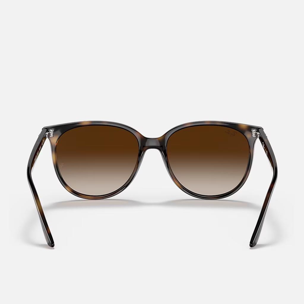 Kính Ray-Ban Rb4378 Nâu