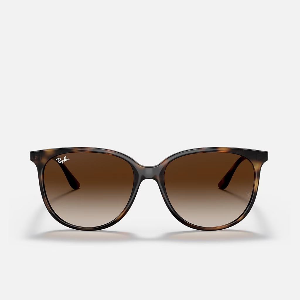 Kính Ray-Ban Rb4378 Nâu