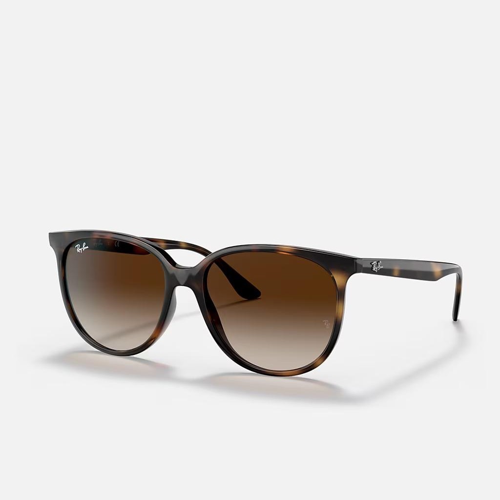 Kính Ray-Ban Rb4378 Nâu