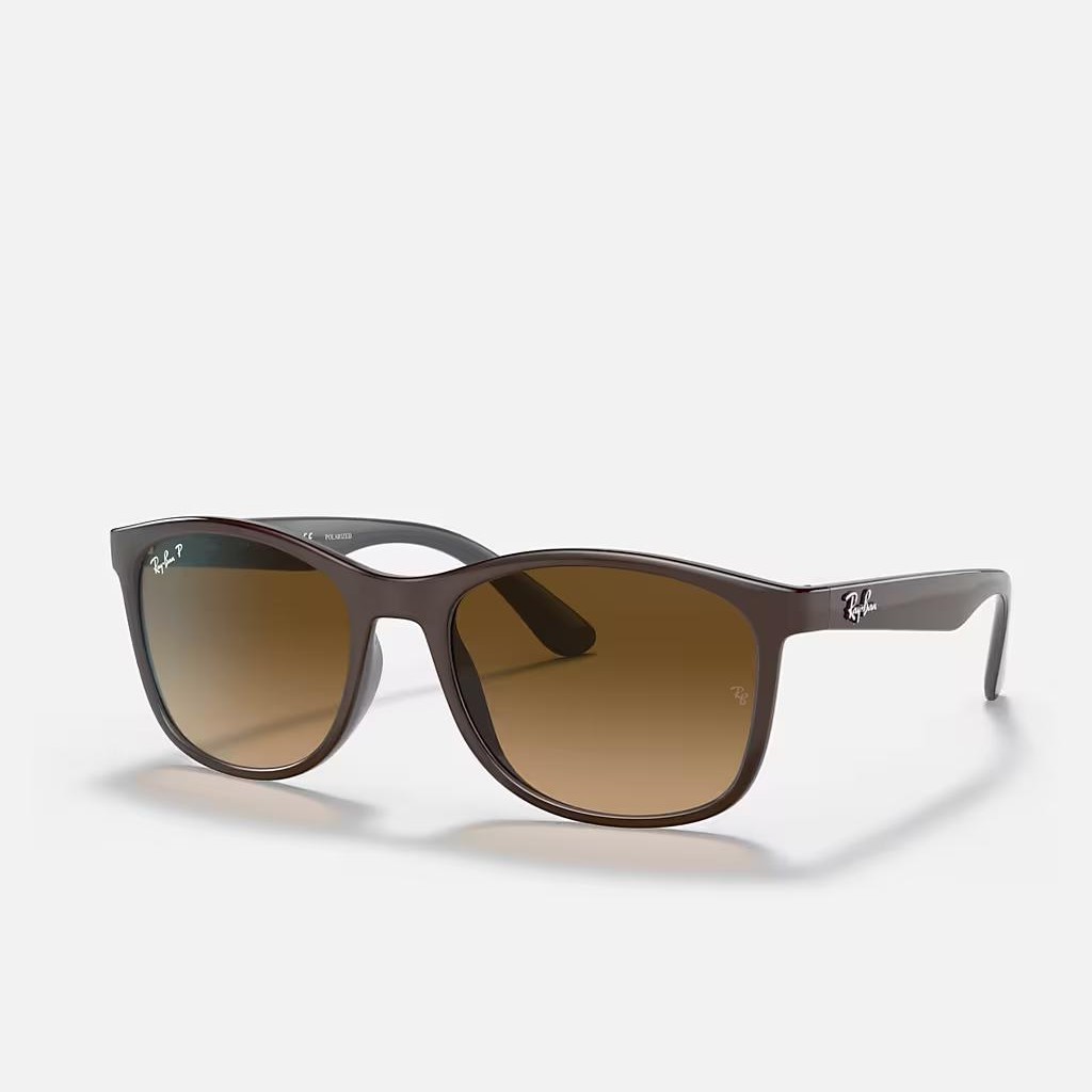 Kính Ray-Ban Rb4374 Polarized Nâu