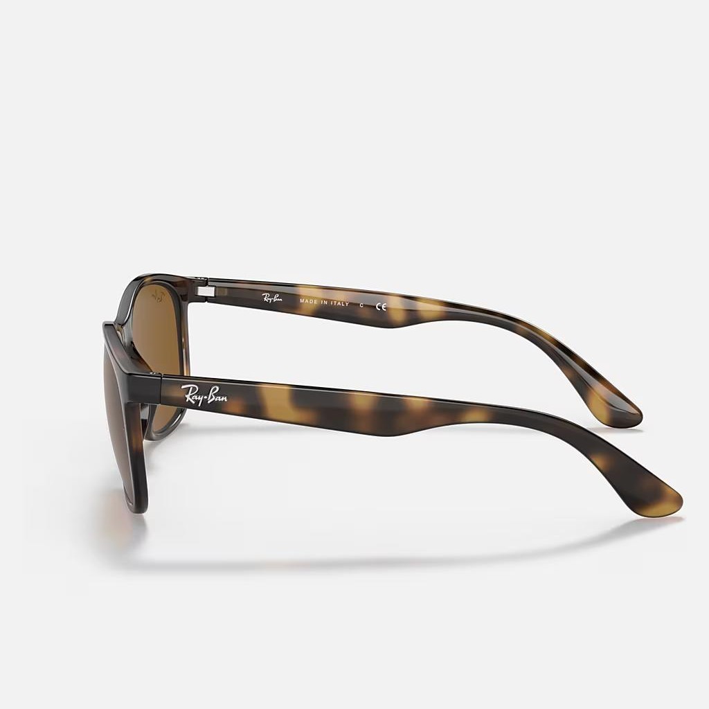 Kính Ray-Ban Rb4374 Nâu