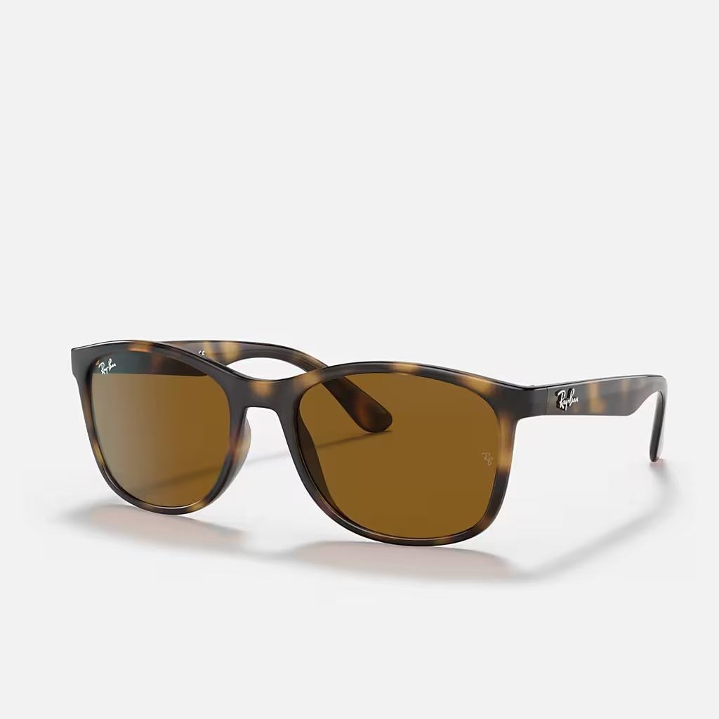 Kính Ray-Ban Rb4374 Nâu