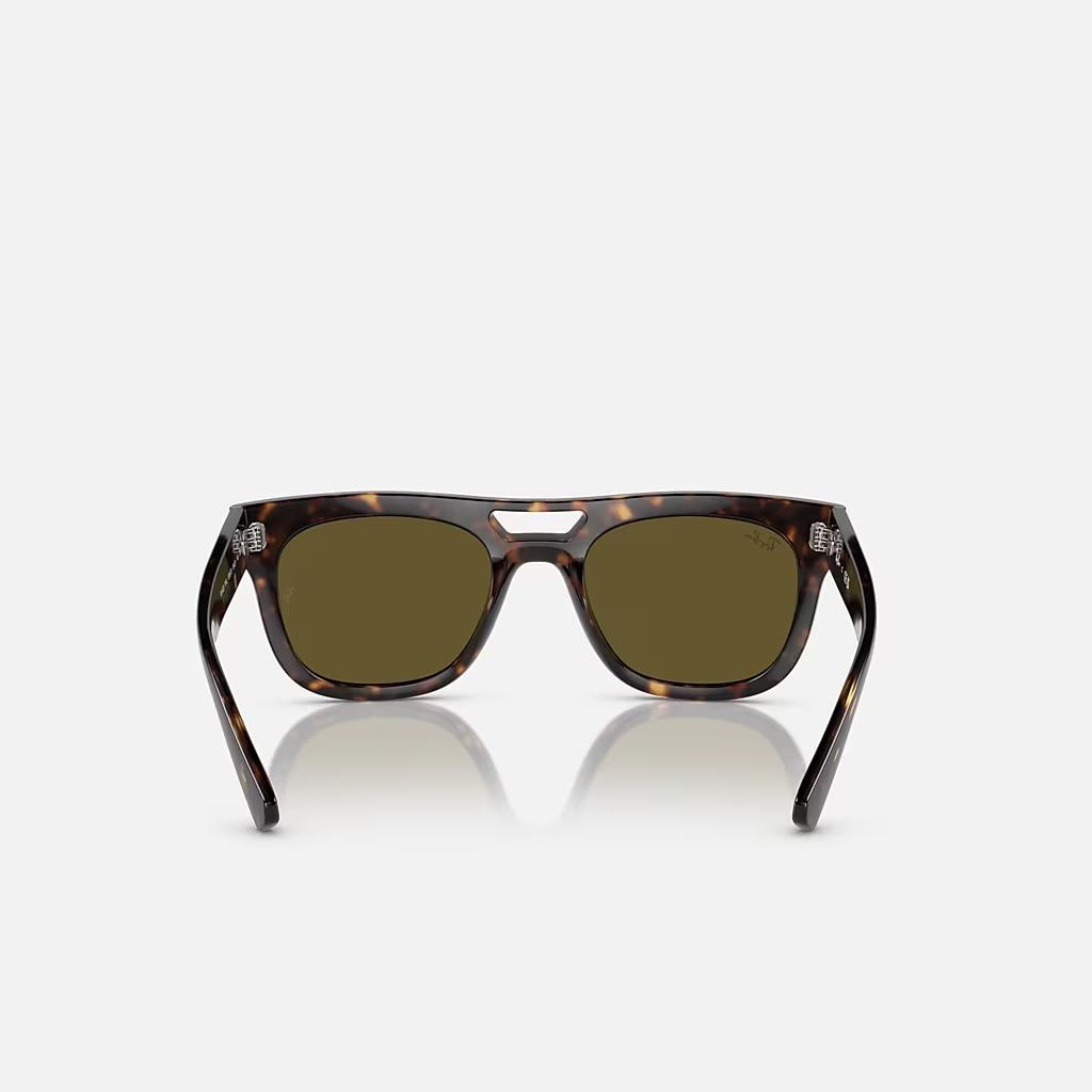 Kính Ray-Ban Phil Bio-Based Nâu