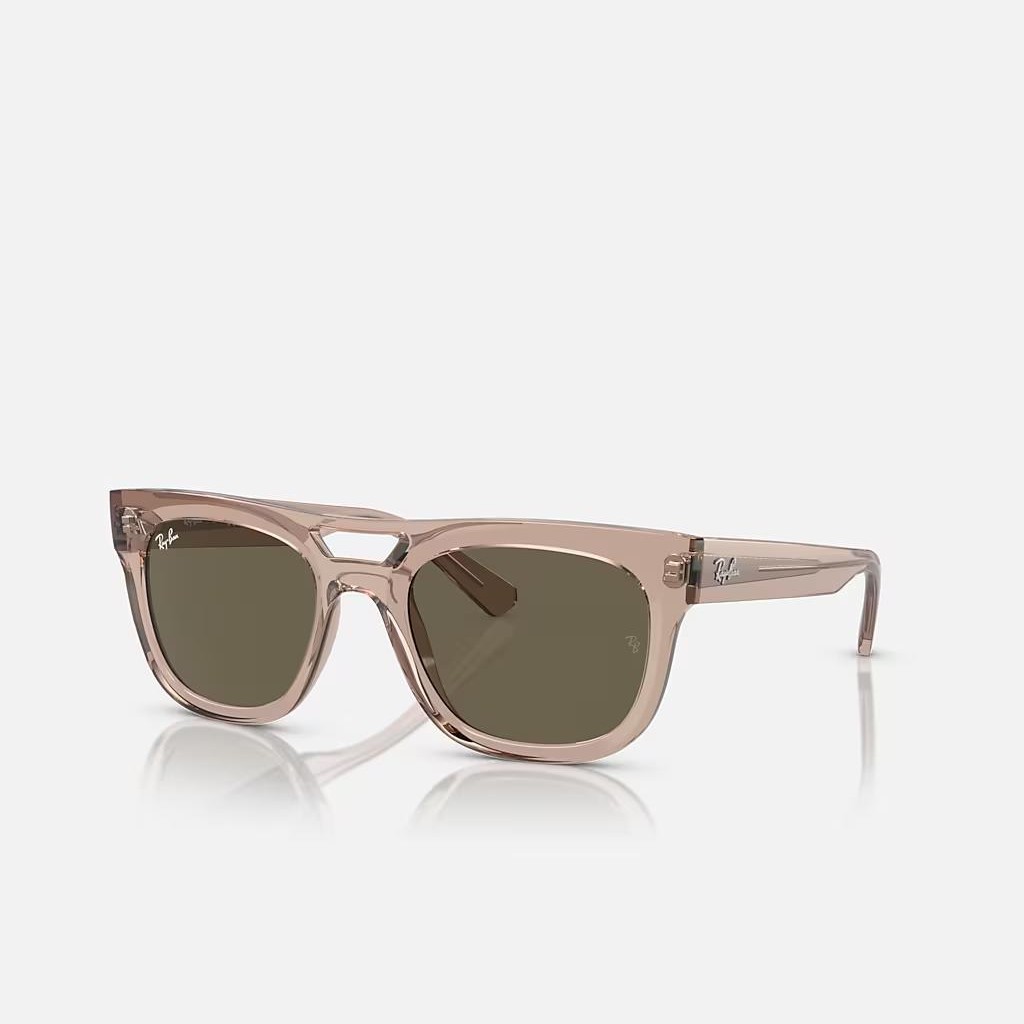 Kính Ray-Ban Phil Bio-Based Nâu Trong