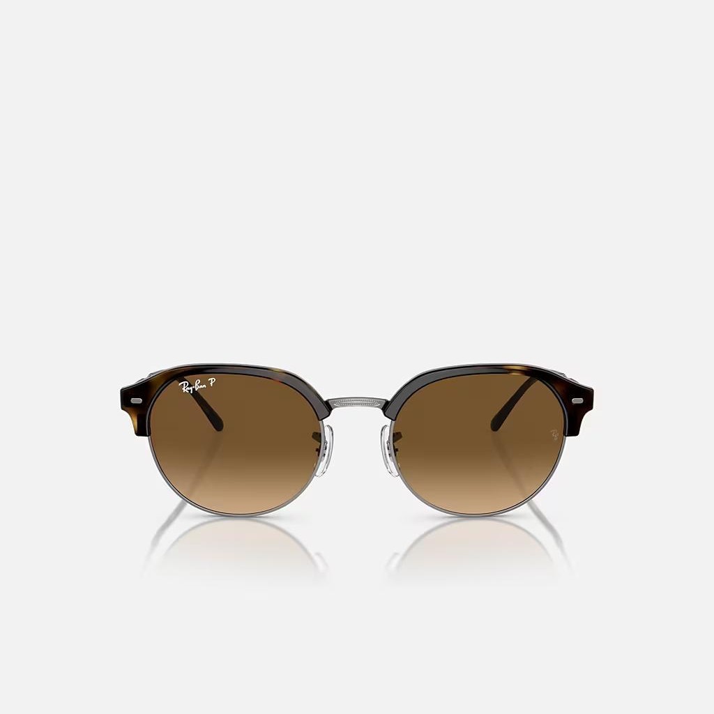 Kính Ray-Ban Rb4429 Polarized Xám Nâu