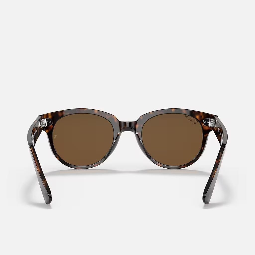 Kính Ray-Ban Orion Nâu