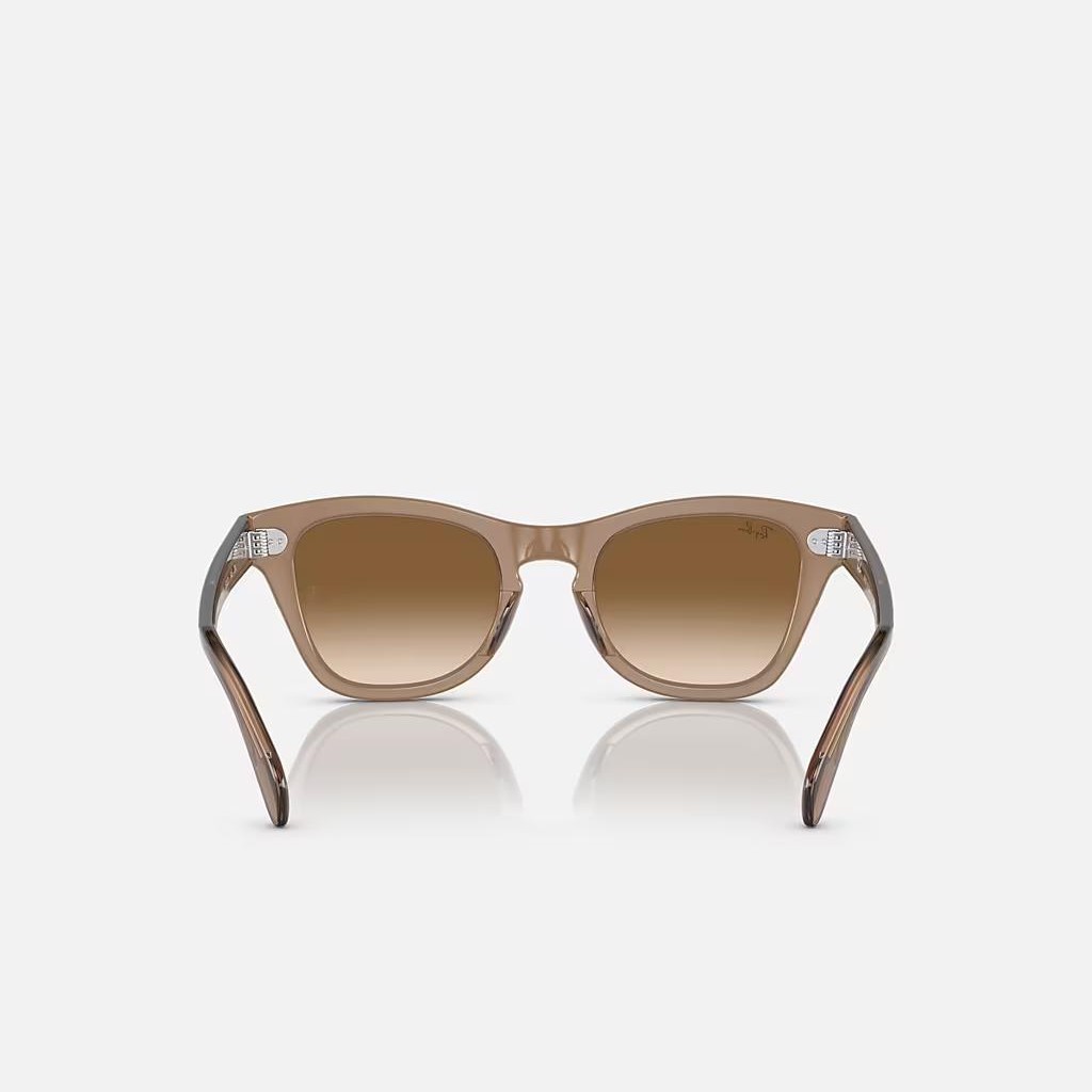 Kính Ray-Ban Rb0707S Nâu Trong