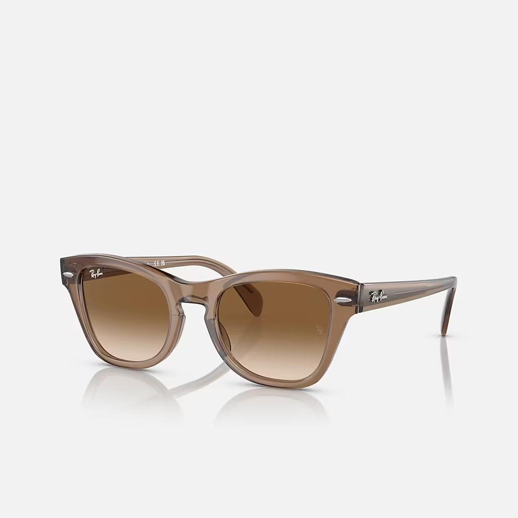 Kính Ray-Ban Rb0707S Nâu Trong