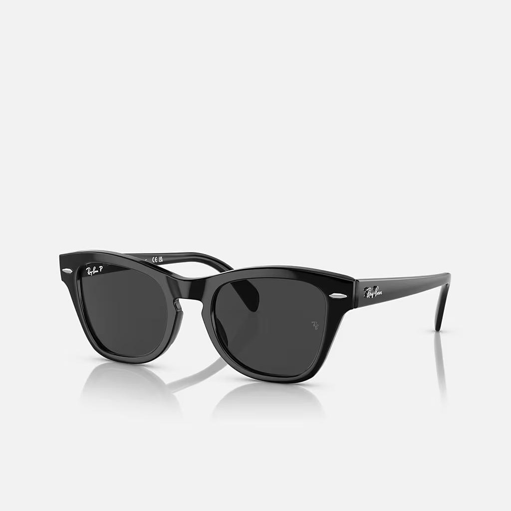 Kính Ray-Ban Rb0707S Đen