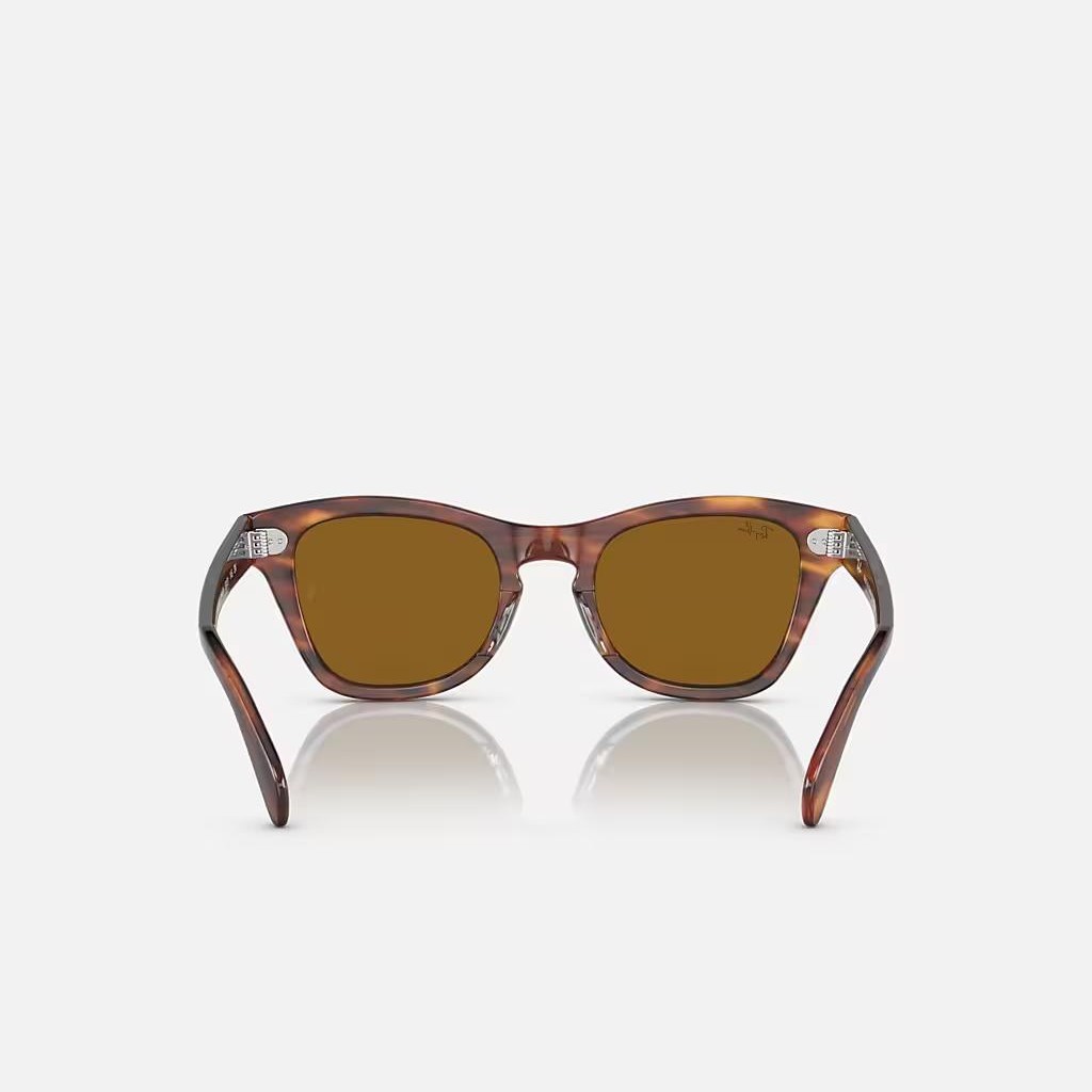 Kính Ray-Ban Rb0707S Nâu