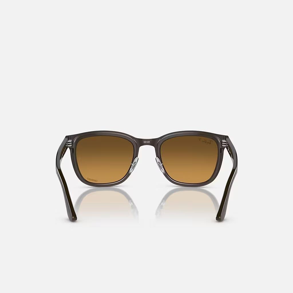 Kính Ray-Ban Clyde Nâu