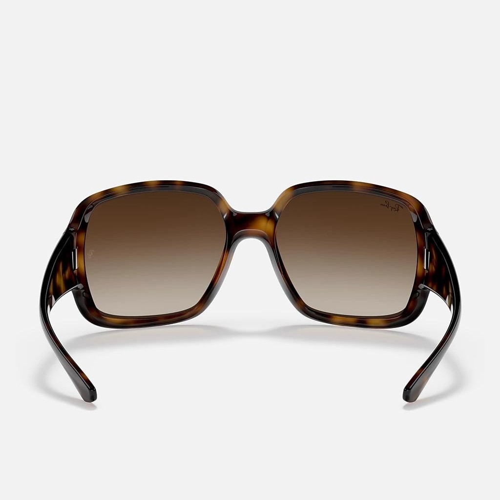 Kính Ray-Ban Rb4347 Nâu