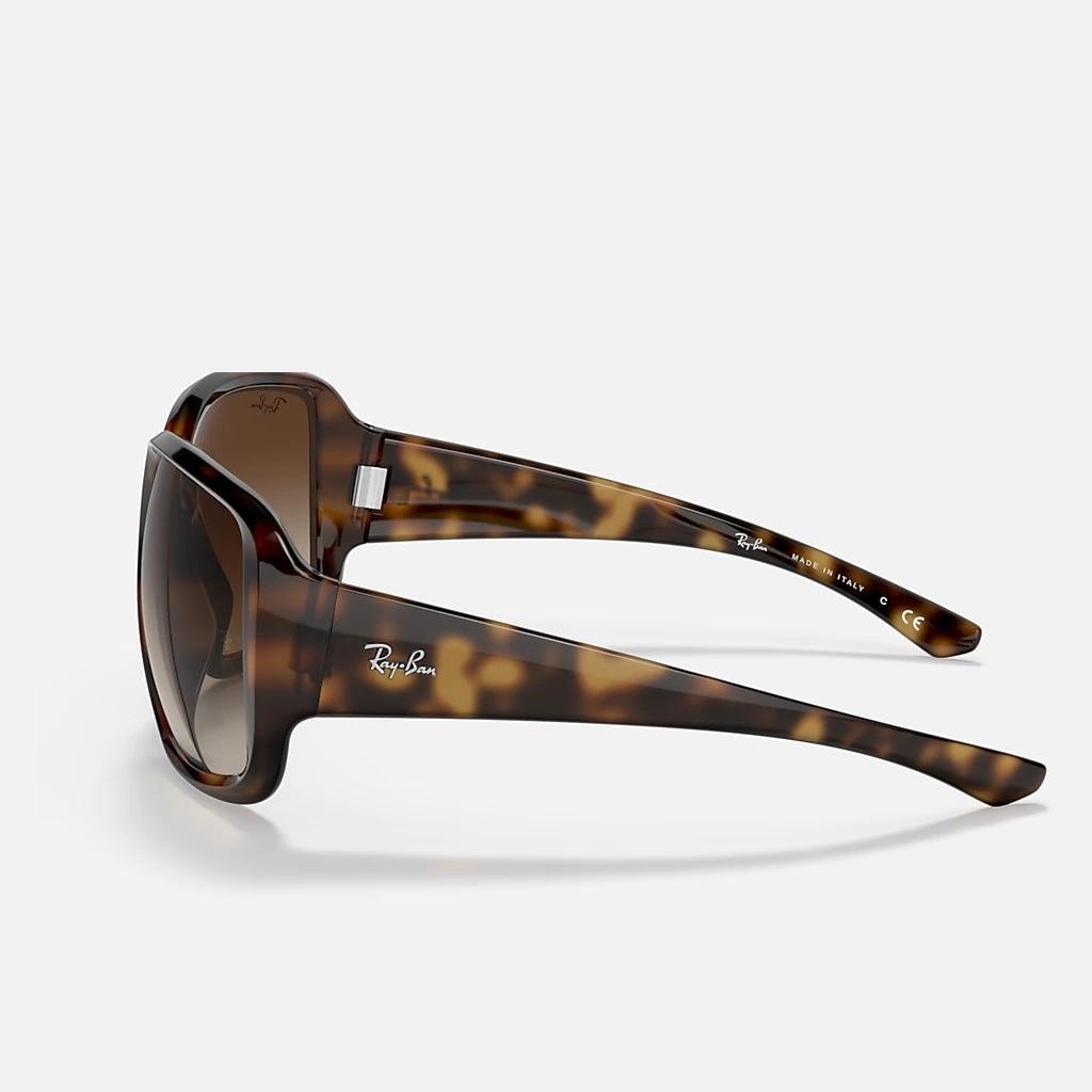 Kính Ray-Ban Rb4347 Nâu