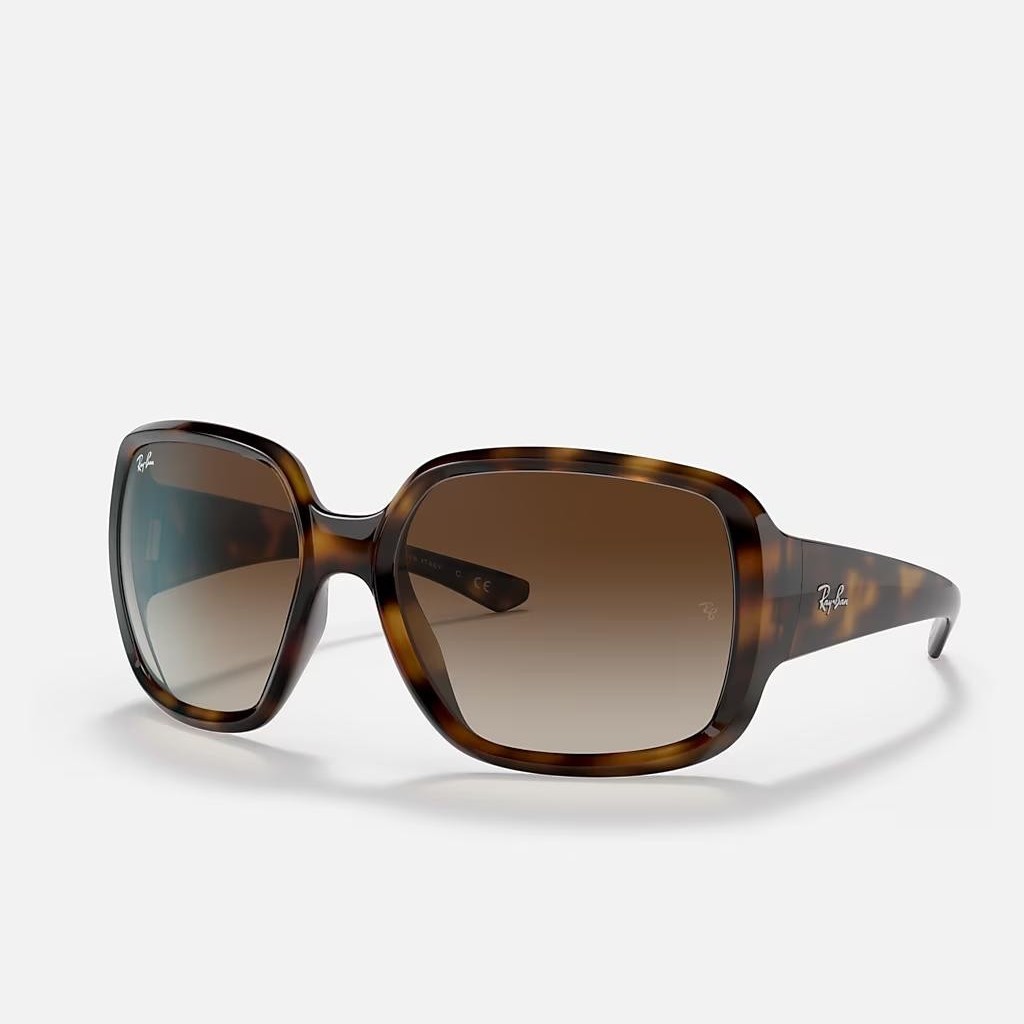 Kính Ray-Ban Rb4347 Nâu