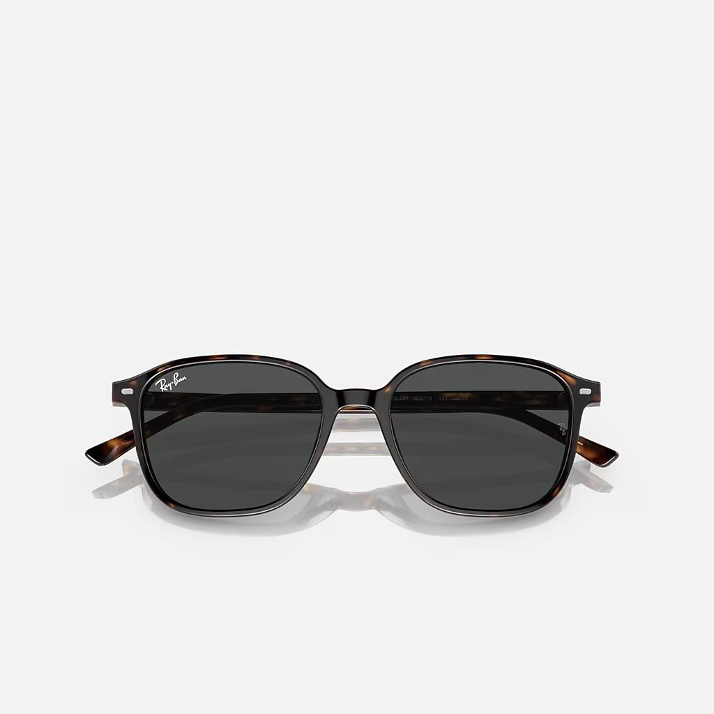 Kính Ray-Ban Leonard Transitions® Nâu Trong Suốt