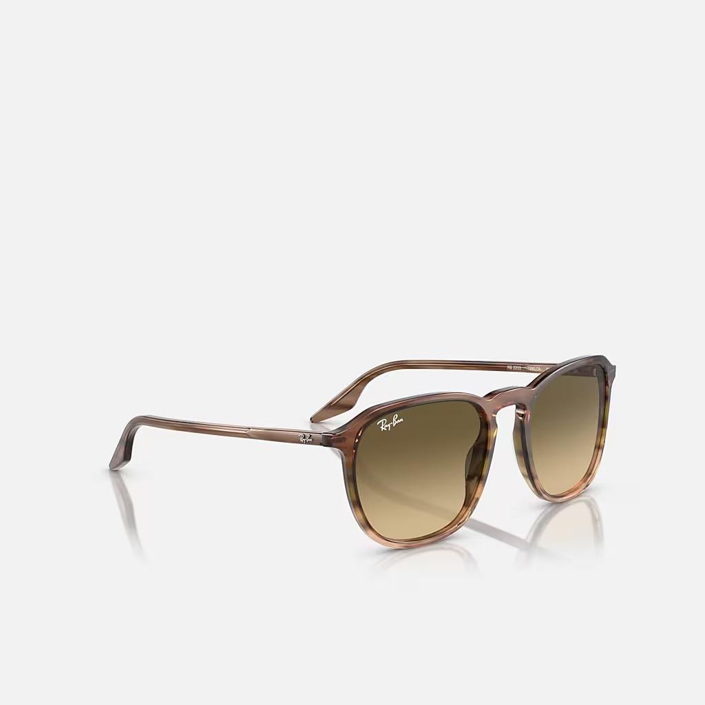 Kính Ray-Ban Rb2203 Nâu Đen