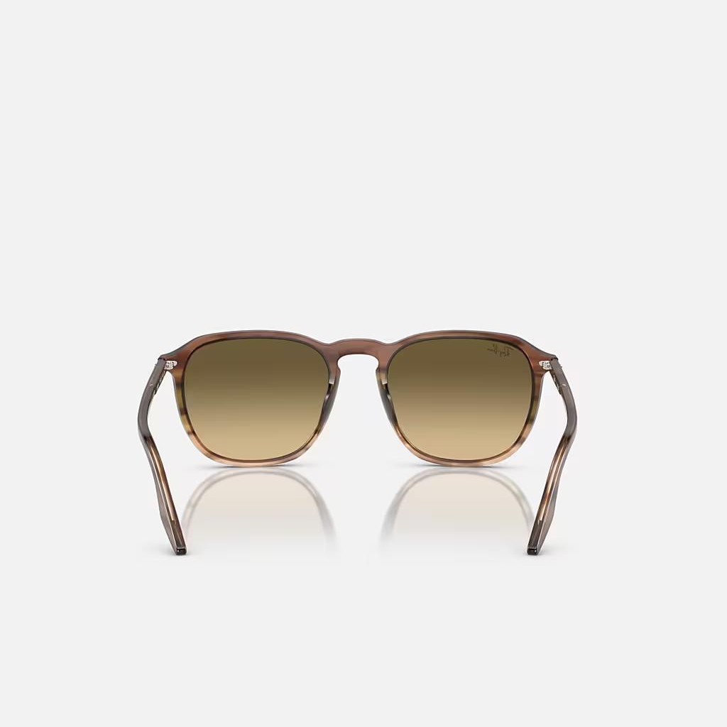 Kính Ray-Ban Rb2203 Nâu Đen