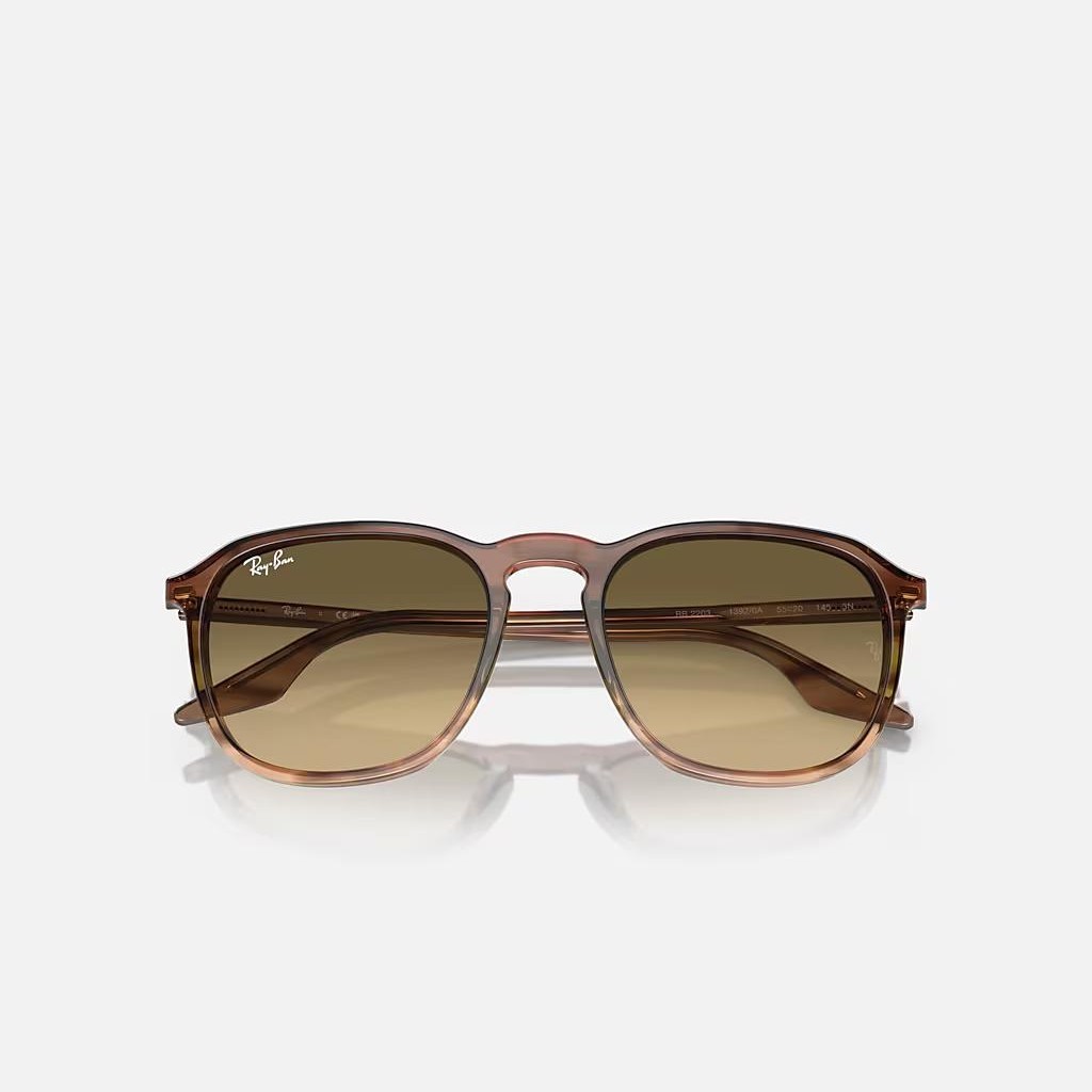 Kính Ray-Ban Rb2203 Nâu Đen