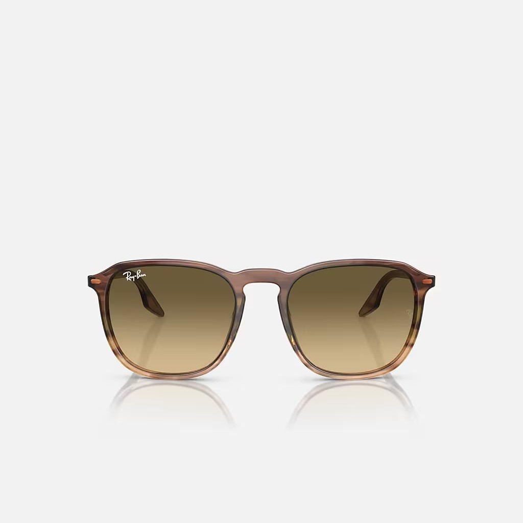 Kính Ray-Ban Rb2203 Nâu Đen