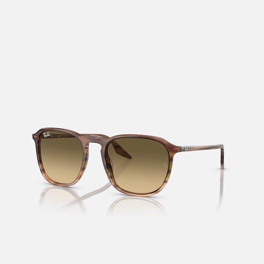 Kính Ray-Ban Rb2203 Nâu Đen