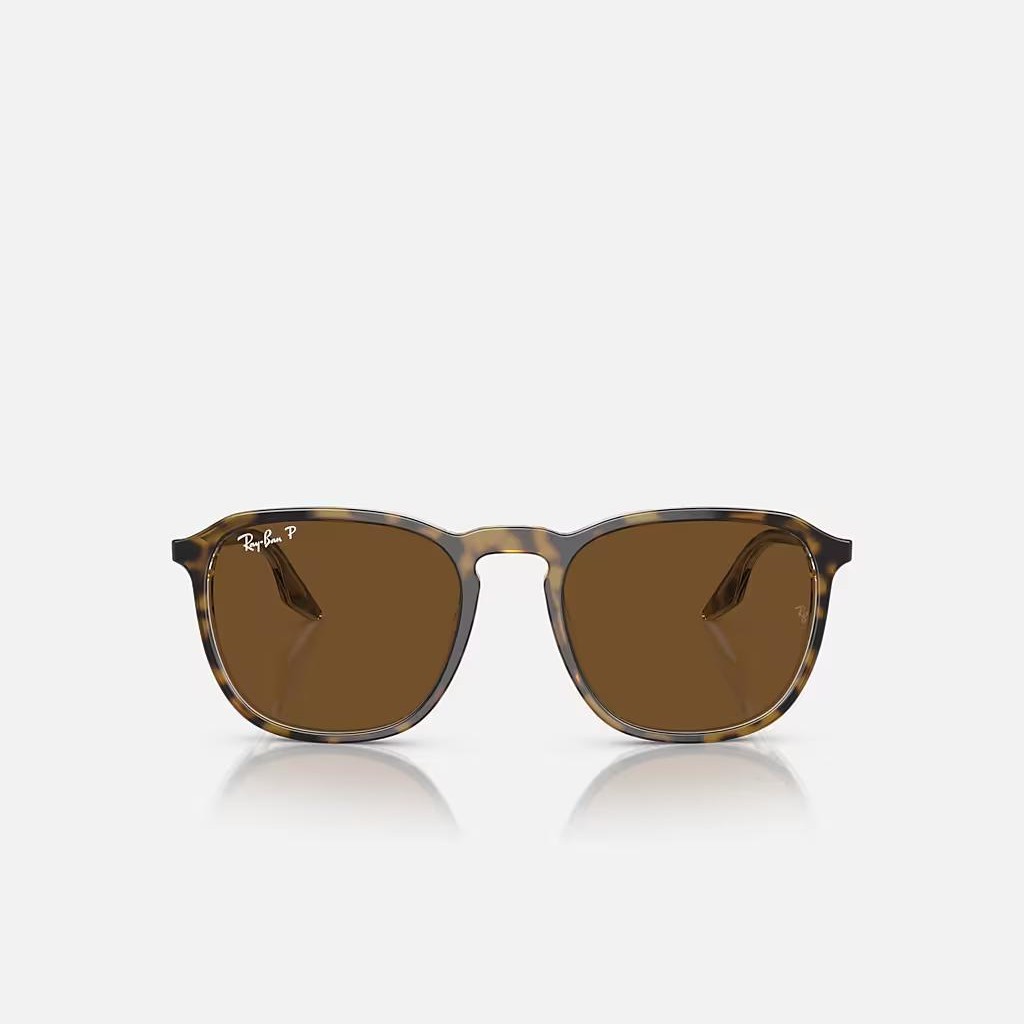 Kính Ray-Ban Rb2203 Nâu Đậm