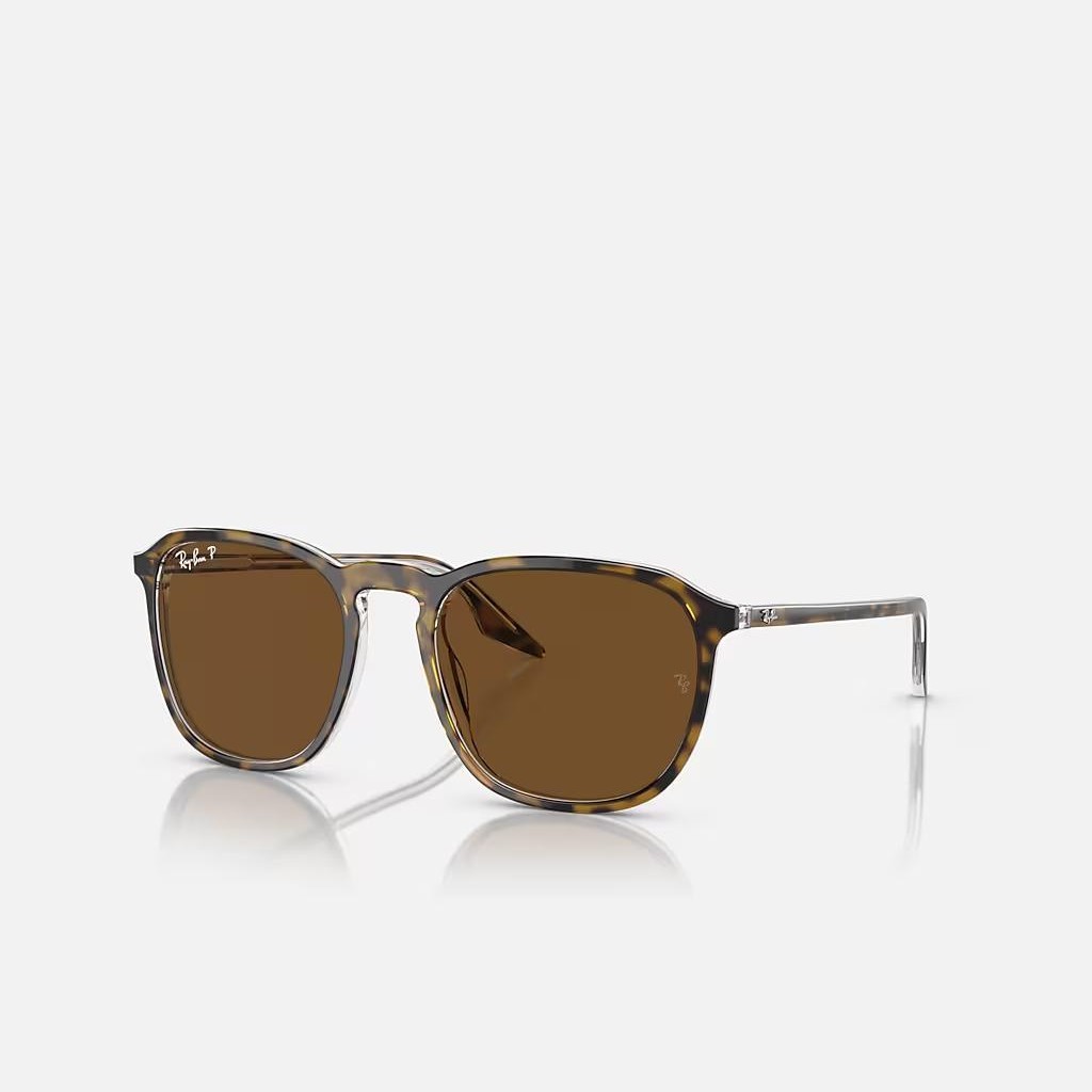 Kính Ray-Ban Rb2203 Nâu Đậm