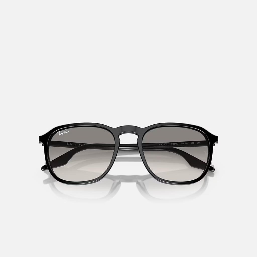 Kính Ray-Ban Rb2203 Xám Đen