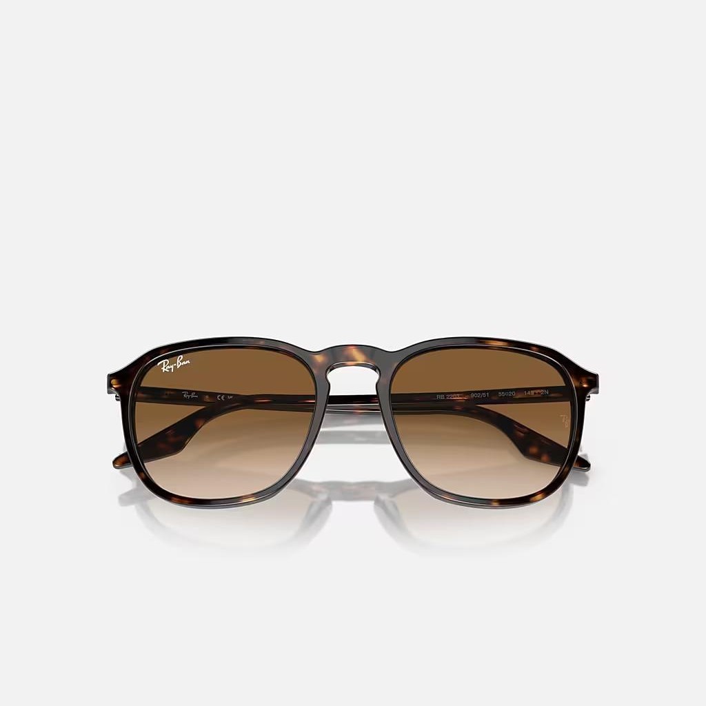 Kính Ray-Ban Rb2203 Nâu Sáng