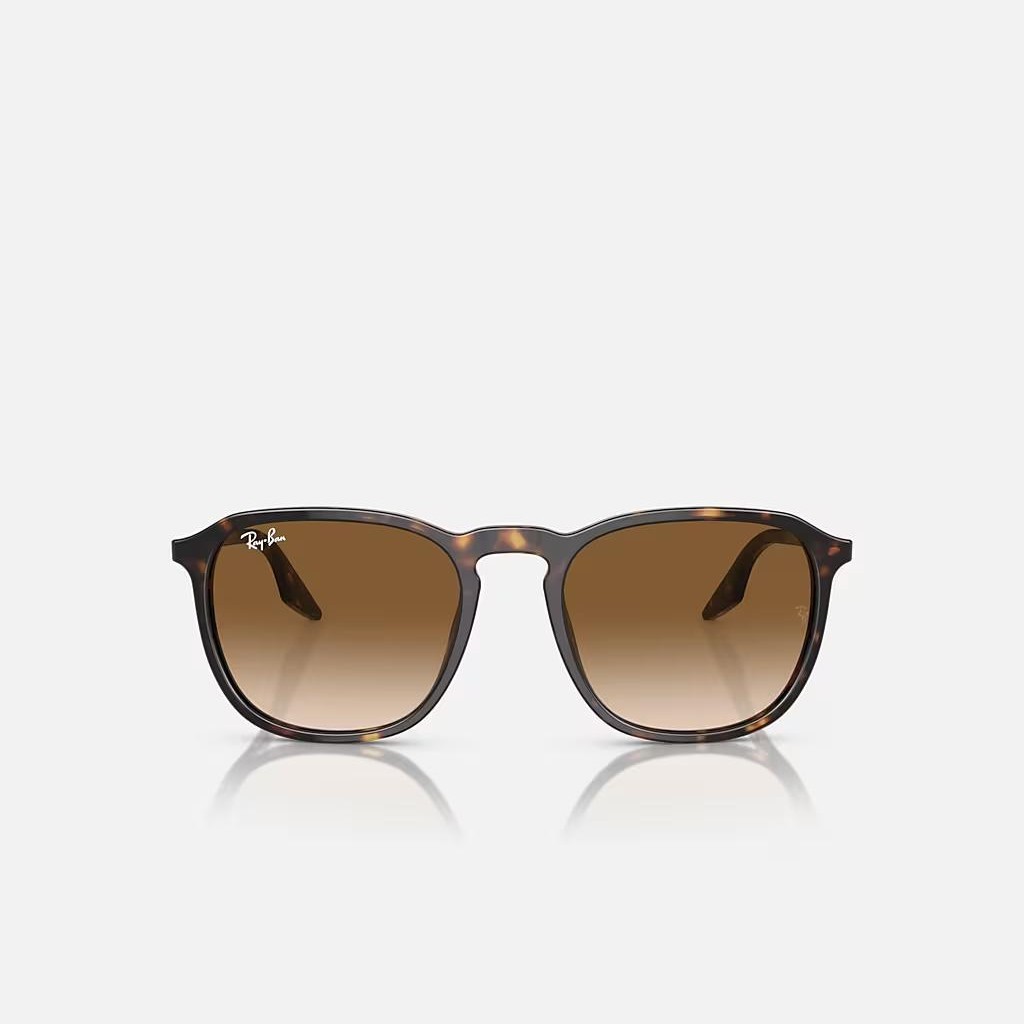 Kính Ray-Ban Rb2203 Nâu Sáng