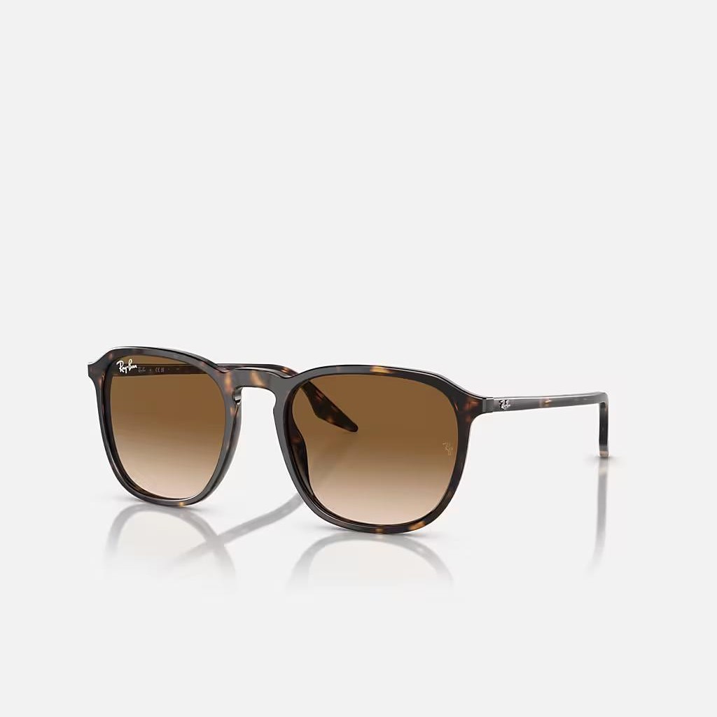 Kính Ray-Ban Rb2203 Nâu Sáng