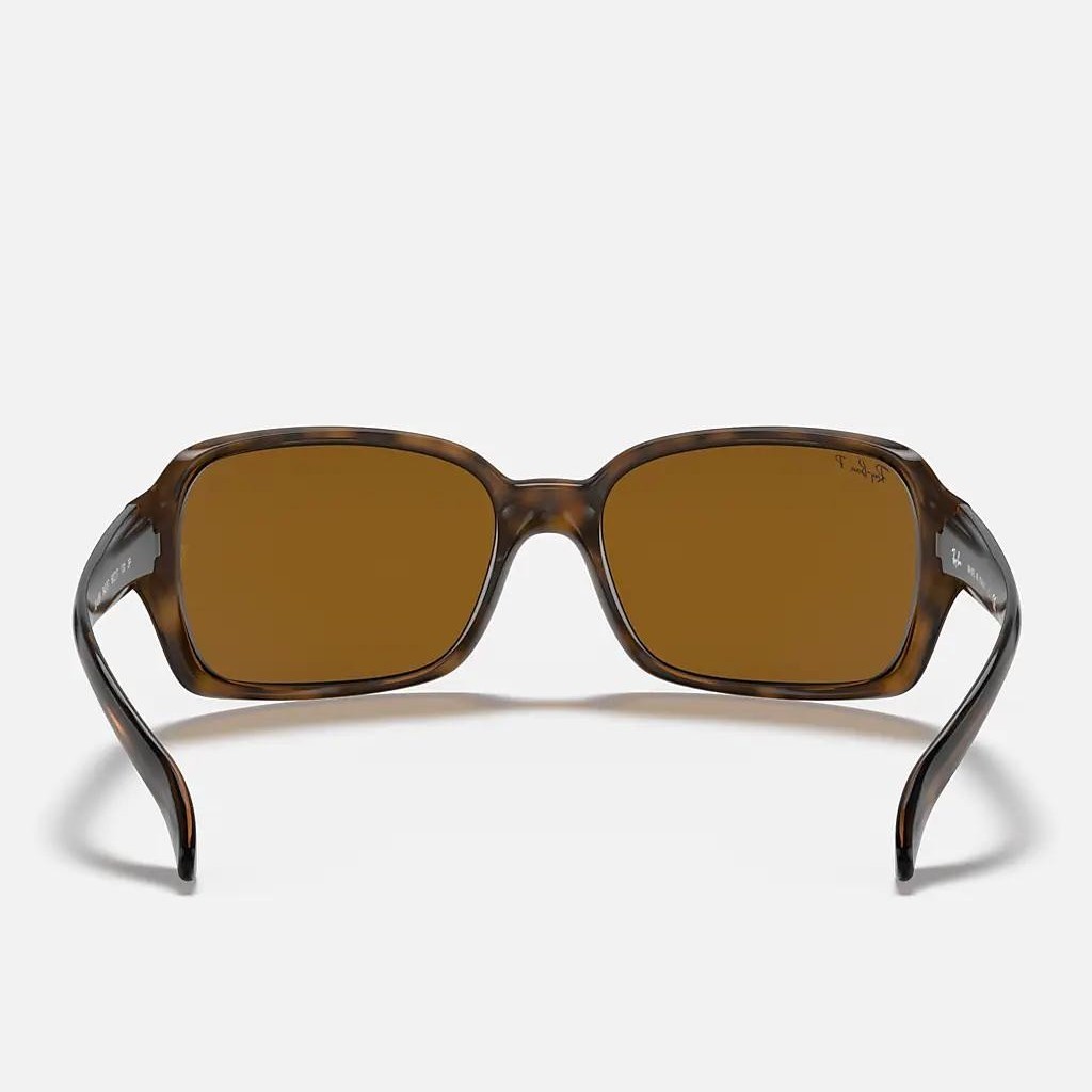 Kính Ray-Ban Rb4068 Nâu