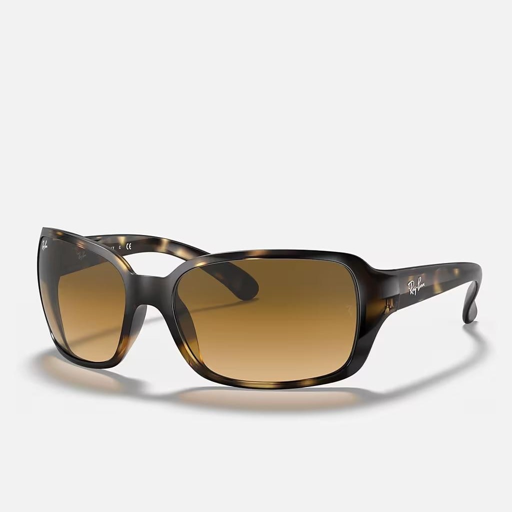 Kính Ray-Ban Rb4068 Nâu Sáng